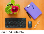 ANGARSK, IRKUTSK REGION, RUSSIA - May 27, 2024: Top view of desktop with Logitech keyboard, wireless mouse, workbook, pen, glasses and potted gloxinia houseplant. Workplace for remote work. Редакционное фото, фотограф Виктория Катьянова / Фотобанк Лори