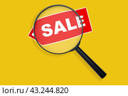 Sale search. search for favorable price, product search. search for best price, search for product and benefits when buying. Magnifying glass isolated on yellow with tag. Стоковое фото, фотограф Павел Муравьев / Фотобанк Лори