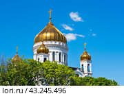 Купола храма Христа Спасителя на фоне синего неба. Солнечный весенний день. Москва. Россия (2024 год). Стоковое фото, фотограф E. O. / Фотобанк Лори