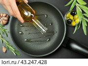 Женская рука наливает оливковое масло из бутылки в сковороду. Вид сверху на темный фон с зелеными и черными оливками, веточками розмарина и чесноком. Стоковое фото, фотограф Светлана Ельцова / Фотобанк Лори