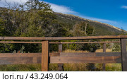 The landscape of Patagonia. A streamlet runs through a meadow with yellowed grass. Green deciduous trees. A mountain against a blue sky. In the foreground is the wooden railing of the observation deck. Стоковое фото, фотограф Вера Ивановна Кубарева / Фотобанк Лори