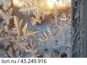 Winter frost patterns on glass. Ice crystals. Abstract light blank cold winter background or wallpaper. Frost patterns on frozen window. Frosted glass. Freezing effect. Frostwork. Harsh season. Cold. Стоковое AI-изображение, AI-художник Марина Демидюк / Фотобанк Лори