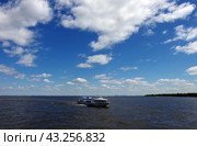 СПК "Метеор-196" на рейде Петродворцовой гавани (2018 год). Редакционное фото, фотограф Алексей Иванов / Фотобанк Лори