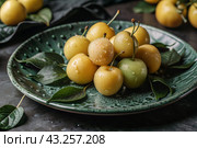 Close-up of fresh plums. Delicious berries and fruits are bright yellow and purple in color with drops of water. Vegetarianism. Healthy eating. Fresh fruits on the table. Стоковое AI-изображение, AI-художник Photojuli / Фотобанк Лори
