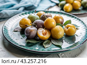 Close-up of fresh plums. Delicious berries and fruits are bright yellow and purple in color with drops of water. Vegetarianism. Healthy eating. Fresh fruits on the table. Стоковое AI-изображение, AI-художник Photojuli / Фотобанк Лори