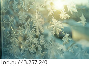 Winter frost patterns on glass. Ice crystals. Abstract light blank cold winter background or wallpaper. Frost patterns on frozen window. Frosted glass. Freezing effect. Frostwork. Harsh season. Cold. Стоковое AI-изображение, AI-художник Марина Демидюк / Фотобанк Лори
