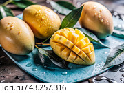 Close-up of fresh mangoes. Delicious berries and fruits are bright yellow in color with drops of water. Vegetarianism. Healthy eating. Fresh fruits on the table. Стоковое AI-изображение, AI-художник Photojuli / Фотобанк Лори
