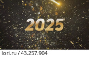 Новый год 2025. Стоковая анимация, аниматор Максим Камкин / Фотобанк Лори