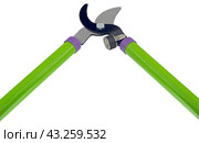 Садовый секатор на белом фоне. Gardening secateurs for cutting branches isolated on white. Стоковое фото, фотограф Татьяна Д / Фотобанк Лори