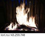 Burning bonfire in the dark. Стоковое фото, фотограф Andrew_Swarga / Фотобанк Лори