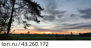 Spring sunset over the field. Стоковое фото, фотограф Andrew_Swarga / Фотобанк Лори