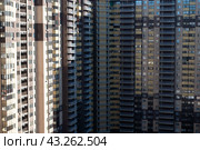 Многоэтажные дома в Реутове, Московская область (2024 год). Стоковое фото, фотограф Наталья Филатова / Фотобанк Лори