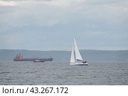 Акватория Амурского залива у Владивостока (2022 год). Редакционное фото, фотограф Free Wind / Фотобанк Лори