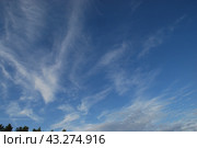 White clouds in the sky. Стоковое фото, фотограф Andrew_Swarga / Фотобанк Лори