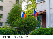 Флаги России над входом в ТСЖ "Сосна". Воронеж (2024 год). Стоковое фото, фотограф Владимир Шибаев / Фотобанк Лори