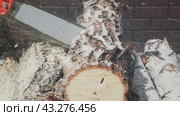 A professional copes with the task as efficiently as possible, using a chainsaw for chopping firewood. Стоковое видео, видеограф Юрий Поздников / Фотобанк Лори