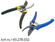 Садовый секатор на белом фоне. Gardening secateurs for cutting branches isolated on white. Стоковое фото, фотограф Татьяна Д / Фотобанк Лори