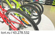 Moscow February 26 2024, Colorful mountain bikes in shop close-up, Buying new bike for outdoor activities. Редакционное фото, фотограф Скрипачев Антон / Фотобанк Лори
