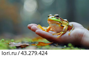 A small frog sitting on a person's hand in the grass, AI. Стоковое AI-изображение, AI-художник Сергей Старуш / Фотобанк Лори