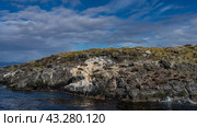A colony of sea lions is resting, lying on the slope of a rocky island in the ocean. Cormorants are nearby. Clouds in the blue sky. Isla de los lobos. Argentina. The Beagle Channel. Стоковое фото, фотограф Вера Ивановна Кубарева / Фотобанк Лори