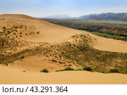 Бархан Сарыкум, Республика Дагестан (2021 год). Стоковое фото, фотограф Римма Тельнова / Фотобанк Лори