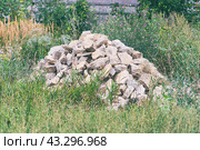 Pile of gray stones in the grass. Стоковое фото, фотограф Александр Прошкин / Фотобанк Лори