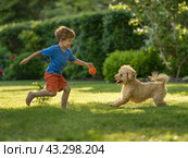 Boy Playing Fetch with Dog in Sunny Garden. Стоковое AI-изображение, AI-художник Кирилл Черезов / Фотобанк Лори