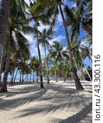 Amazing paradise view to the White beach with palms in Bohol Panglao island, Philippines (2024 год). Стоковое фото, фотограф Екатерина Каляева / Фотобанк Лори