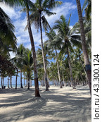 Amazing paradise view to the White beach with palms in Bohol Panglao island, Philippines (2024 год). Стоковое фото, фотограф Екатерина Каляева / Фотобанк Лори