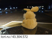 Sad brown bunny toy sits on the wooden bench near the lake. He looks at pier and harbour. He hung his ears sadly. No one knows what he is thinking, what upset him. Back view. Стоковое фото, фотограф YuryKara / Фотобанк Лори