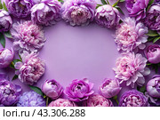 A frame with beautiful peony flowers on a pastel purple background. The layout of the apartment, top view, a place to copy, summer flowers. Стоковое AI-изображение, AI-художник Photojuli / Фотобанк Лори