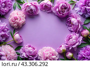 A frame with beautiful peony flowers on a pastel purple background. The layout of the apartment, top view, a place to copy, summer flowers. Стоковое AI-изображение, AI-художник Photojuli / Фотобанк Лори