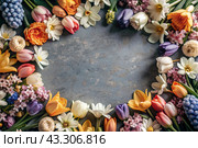 Beautiful floral background. A frame of spring flowers with tulips, daffodils, crocuses, hyacinths. View from above. Space for text. Стоковое AI-изображение, AI-художник Photojuli / Фотобанк Лори