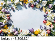 Beautiful floral background. A frame of spring flowers with tulips, daffodils, crocuses, hyacinths. View from above. Space for text. Стоковое AI-изображение, AI-художник Photojuli / Фотобанк Лори