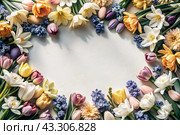 Beautiful floral background. A frame of spring flowers with tulips, daffodils, crocuses, hyacinths. View from above. Space for text. Стоковое AI-изображение, AI-художник Photojuli / Фотобанк Лори