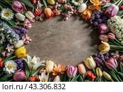Beautiful floral background. A frame of spring flowers with tulips, daffodils, crocuses, hyacinths. View from above. Space for text. Стоковое AI-изображение, AI-художник Photojuli / Фотобанк Лори