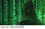 Таинственная фигура в капюшоне среди цифровых данных в стиле киберпанка. Стоковое AI-видео, аниматор Анна Добрыдень / Фотобанк Лори