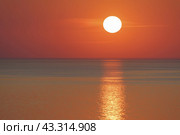 Incredible golden sunset over the Baltic sea. Sun disc hanging over the horizon line. The sea is calm and peaceful during this magic sunny summer sunset time. Стоковое фото, фотограф YuryKara / Фотобанк Лори