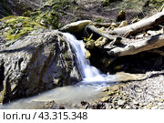 Водопад на притоке реки Сибирь, Даховская, Адыгея. Стоковое фото, фотограф Оглоблин Андрей Николаевич / Фотобанк Лори