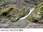 Водопад на притоке реки Сибирь, Даховская, Адыгея. Стоковое фото, фотограф Оглоблин Андрей Николаевич / Фотобанк Лори