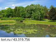 State University of New York at New Paltz (SUNY New Paltz), public university. Overgrown pond in park (2014 год). Редакционное фото, фотограф Валерия Попова / Фотобанк Лори