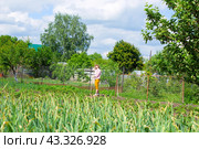 Женщина в шляпе стоит на огороде с тяпкой и смотрит вверх. Стоковое фото, фотограф Роман Лукьянов / Фотобанк Лори