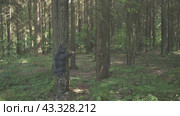 Bandit in the forest shoots with a pistol (2024 год). Редакционное видео, видеограф Громов Александр / Фотобанк Лори