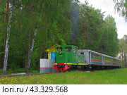 Тепловоз узкоколейный  ТУ4-3034 с пассажирским поездом отправляется от платформы Пионерская, Екатеринбургская ДЖД (2018 год). Редакционное фото, фотограф Алексей Иванов / Фотобанк Лори