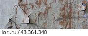 Peeling paint on the wall. Panorama of a concrete wall with old cracked flaking paint. Weathered rough painted surface with patterns of cracks and peeling. Panoramic texture for background and design. Стоковое фото, фотограф Андрей Степанов / Фотобанк Лори