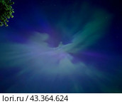 Урал. Северное сияние. Стоковое фото, фотограф Лиза Трифонова / Фотобанк Лори