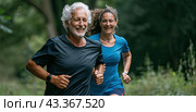 An elderly couple is jogging in the park on a summer morning. The concept of a healthy lifestyle. Close-up. Стоковое AI-изображение, AI-художник Ярославский Максим / Фотобанк Лори