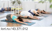 Woman doing restful pose Balasana at group yoga session. Стоковое фото, фотограф Яков Филимонов / Фотобанк Лори