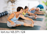 Old woman practicing seated side bend pose of yoga in training room during fitness classes. Стоковое фото, фотограф Яков Филимонов / Фотобанк Лори