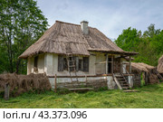 Сельский дом. Псковская область (2024 год). Стоковое фото, фотограф Анна Карасева / Фотобанк Лори